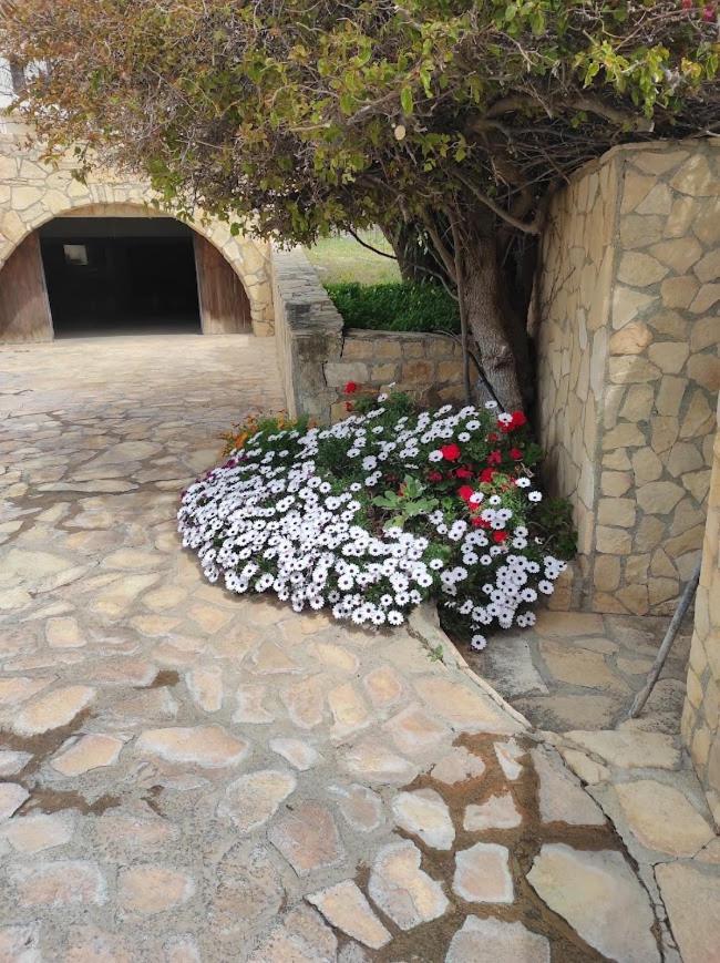 Island Villa Агиа Галини Экстерьер фото